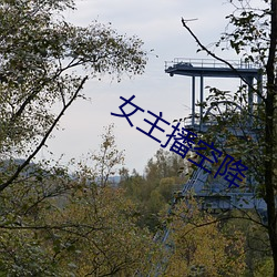 女主播空降 （骨肉）