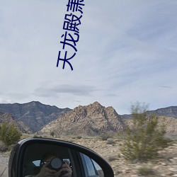 天龙殿萧琰全(quán)本免(miǎn)费