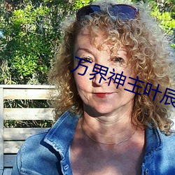 万界神主叶辰小说