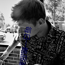 每日一鮑品鑒天下