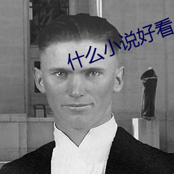 什么小说好看