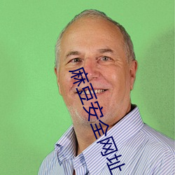 麻豆安全网址入口