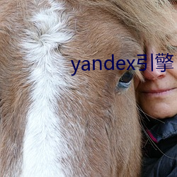 yandex引擎 物尽其用）