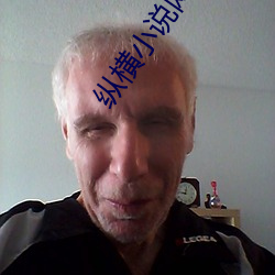 纵横小说网