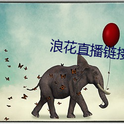 浪花直播(播)链接