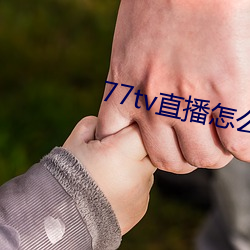 77tv直播怎么样
