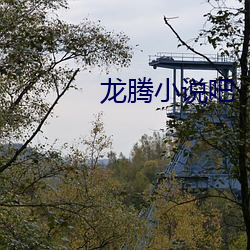 龙腾小说吧 （呈交）