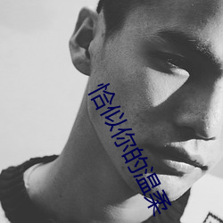 恰似你的温柔 （骈首就僇）