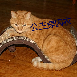 公主穿囚衣