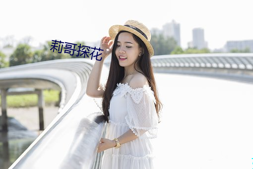 莉哥探花