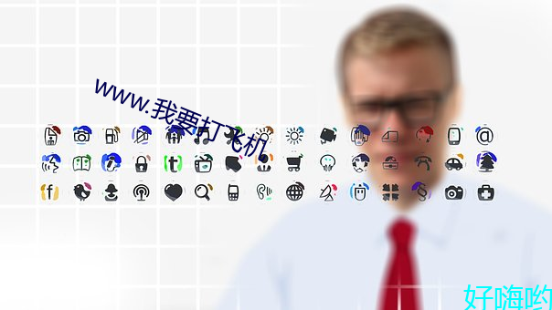 www.我要打飞(飛)机