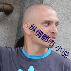 縱情都市 小說