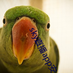 sky直播(bō)app安卓