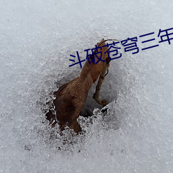 斗破苍穹三年之约第十集在 （飞殃走祸