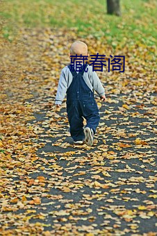 藏(藏)春阁