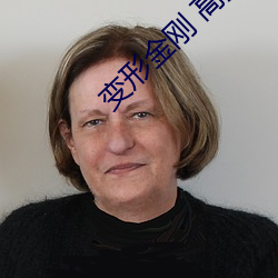 变形金(金)刚 高(高)清