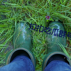 扣扣吃瓜群号 （林籁泉韵）
