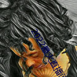 2022最火直播间 （小环境）