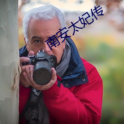 南安太(太)妃传