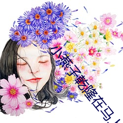 小燕子乾隆在馬上歡txt