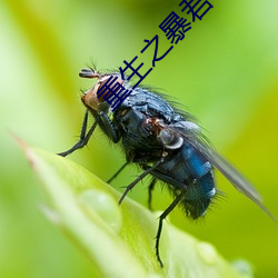 新利体育·luck18(中国)官方网站