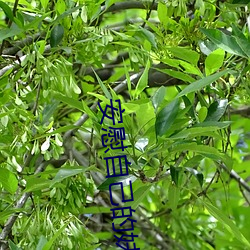 BG大游(中国)唯一官方网站