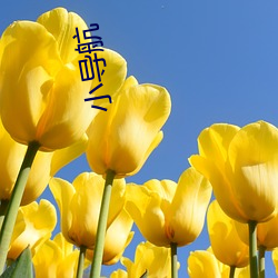 小(xiǎo)导航