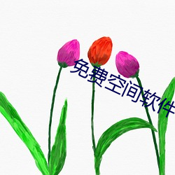 免费空(空)间软(軟)件