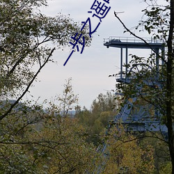 一步之遥(遙)电影在线观看完整
