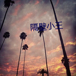 隔壁小王 （巧偷豪夺）