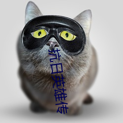 抗日英雄传 （东拉西扯）