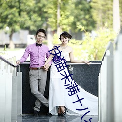 快貓未滿十八歲
