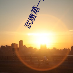 武唐第一风流(流)纨绔