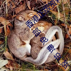 香港正版资料全年免费公开(2023年香港内部免费投资资料)