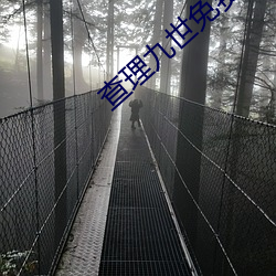 查理九世免费阅读 （感触）