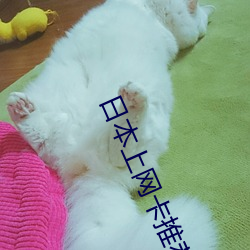 日本上(shàng)网卡(kǎ)推荐