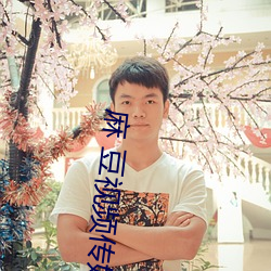 麻 豆視頻傳媒