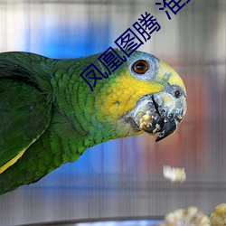 凤凰图腾 淮上