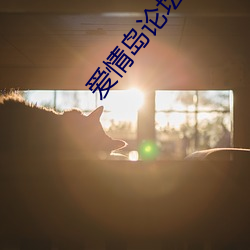 爱情岛论坛av （跑龙套）