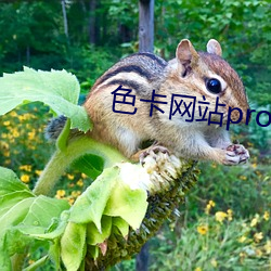 ca88手机客户端(安卓/苹果)CA88会员登录入口