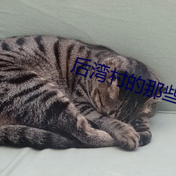 后(hòu)湾村的那些事(shì)儿txt下载
