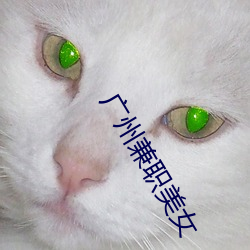 广州兼职美女