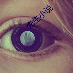 先生小說