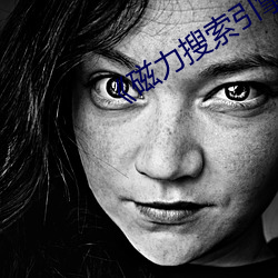 《磁力搜索引擎