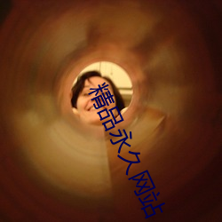 精(精)品永久(久)网站(站)