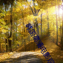 韓國高清電影觀看影片