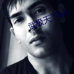 武极天下txt