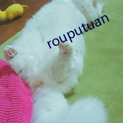 rouputuan