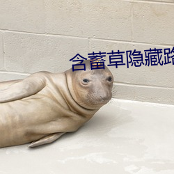 尊龙凯时·(中国)官方网站