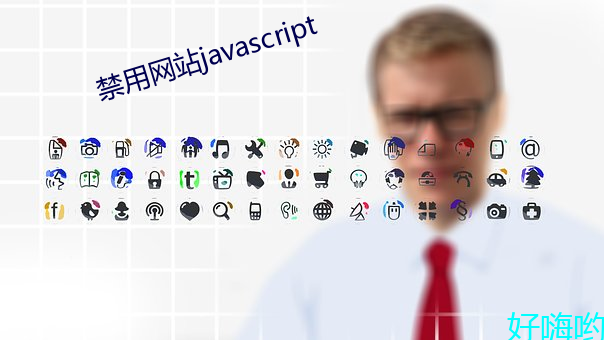 禁用网站javascript （面命耳提）